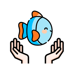 How to Care for Freshwater Fish